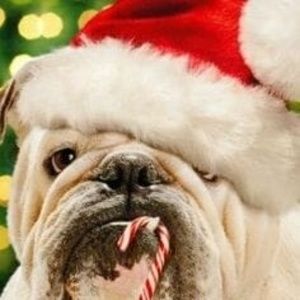 Meet your Posher, Teresa